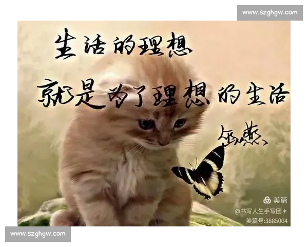 回望奋斗足迹书写人生生涯里程与时代同行的成长轨迹重要节点全景记录